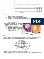 Série 4e Maths