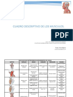 Cuadro Musculos Isaac