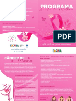 Folder Outubro Rosa Cancer Mama