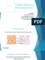 Tejido Adiposo y Hematopoyetico