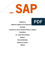 Creación de Una Ley, Derecho Positivo o Vigente