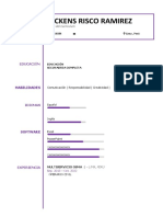 Curriculum Vitae