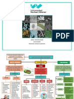 Semna1-Mapa Conceptual - Anni Espinoza