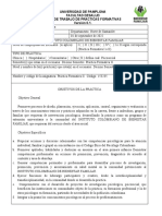 Plan de Trabajo Corregido y Ajustado (1) (2) BRICEIDA