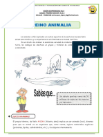 1 El Reino Animalia Secundaria