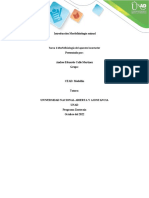 Digestion Monogastricos Andrescalle