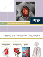 Sistema Circulatório