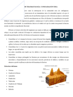 Resumen Consolidacion Osea Unido y Completo