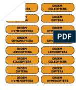 1- Ordem Thysanura Traças 2 - Ordem Odonata-libélula 3-Ordem Phthiraptera Piolho 4- Ordem Orthoptera- Grilos, Garfanhotos 5- Ordem Blattodea- Baratas 6-Ordem Phasmida- Bicho Pau 7- Ordem Isoptera- Cupins 8- Ord (1)