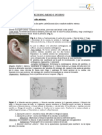 002 - Bases Anatómicas Del Oído y El Hueso Temporal