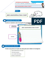 D1 A2 FICHA El Aire y Sus Características