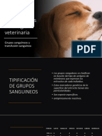 Transfusión Sanguínea en Veterinaria