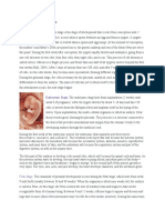 Stages of Fetal Development