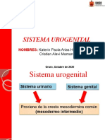 Emb Sistema Urogenital