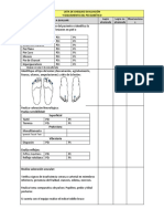 Lista de Chequeo Pie Diabetico