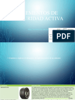 Elementos de Seguridad Activa
