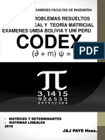 Codex Primer Parcial Lineal