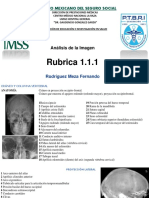 Rubrica 1.1.1