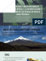 La Biodiversidad y Áreas Naturales Protegidas en México. La Deforestación y La Utilización de Las Playas de México Como Privadas