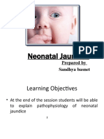 Neonatal Jaundice