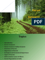 Forest Resource My