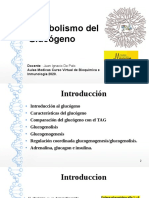 4 - Metabolismo Del Glucógeno