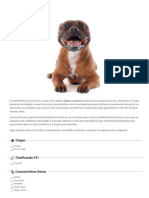 Manual Staffordshire Bull Terrier