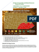 DCNR Week 6 Fall Foliage Report 2022