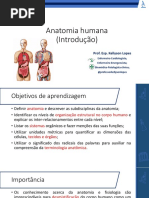 Anatomia Humana (Introdução)