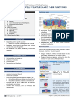 Cell Structures and Their Functions