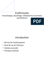 4 .Globules Rouges Metabolisme Morphologie