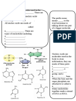 DNA and Proteins Doodle Notes 2