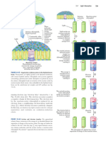 Lehninger Principles of Biochemistry 6th Ed Booksmedicos - Org (1) (0730-0800)