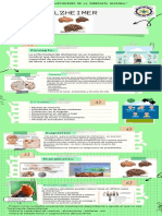 Alzheimer Infografía Semana 6 - Compressed