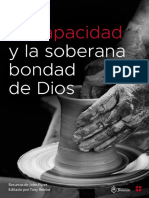 La-Discapacidad SBD