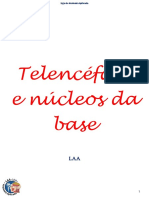 Resumo LAA Telencéfalo e Núcleos Da Base