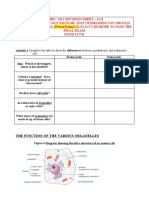 LO3 Revision Sheet