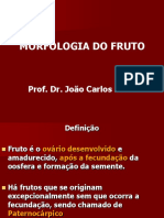 Morfologia Do Fruto