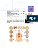 LECTURE 3 - Body Cells and Tissues