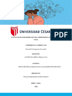 Informe Tutoria