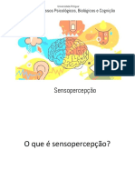 SLIDE Sensopercepcao