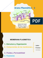 Clase 10 - Memb Plasmática - Funciones - 13ABR22