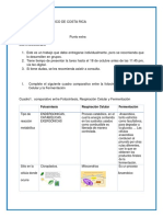 Fotosíntesis y Respiración Celular