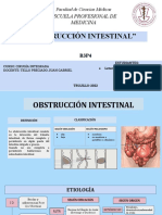 Obstruccion Intestinal