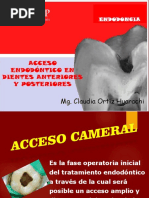 Acceso Cameral Piezas Anteriores y Posteriores