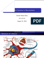 Dynamical Systems in Neuroscience