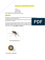 Dengue Docx Jpdlod, DDJGV