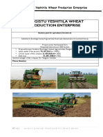 Mengistu Wheat Farm Integrated Farm 2