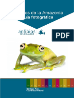 BioWeb Anfibios de Amazon Photo Guide Lo Res