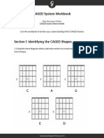 Workbook Caged System